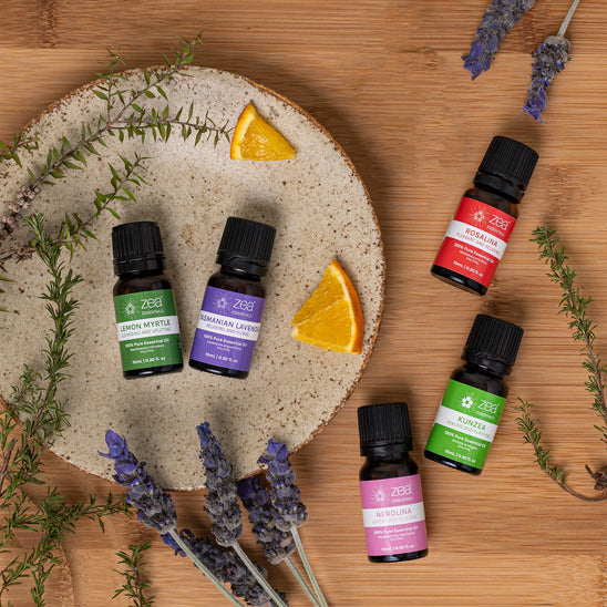 Best-Selling Zea Essentials Collection