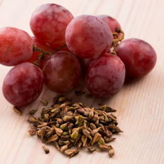Grape Seed (Vitis Vinifera) — ingredient used in Zea natural wellness products