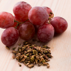 Grape Seed (Vitis Vinifera)