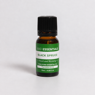 Black Spruce Essential Oil