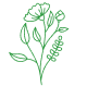 Kunzea Ambigua